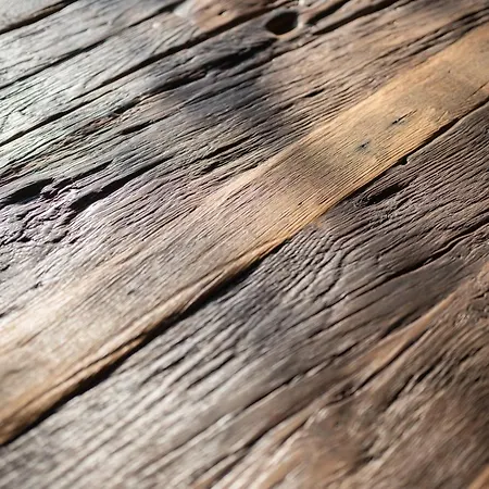 Lisa - With Swimming Pool And Huge Garden *